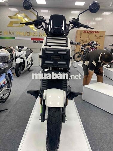 Honda Square X125 Trắng, Xanh rêu