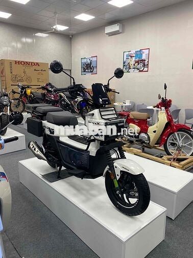 Honda Square X125 Trắng, Xanh rêu