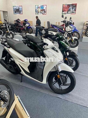 Honda SH Ý Vetro Limited Trắng