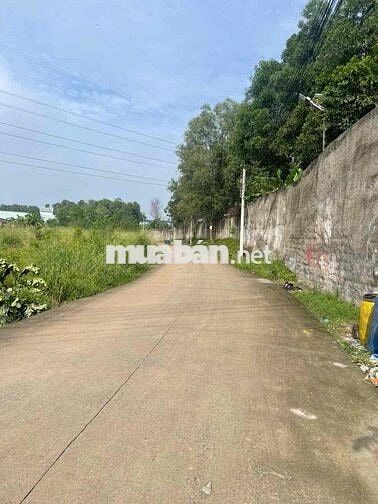 CHÍNH CHỦ CẦN BÁN QUỸ ĐẤT ĐẸP - SÁT CỔNG KCN SÓNG THẦN 3 & KCN KIM HUY