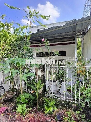 🏠🚨 NHÀ NGUYÊN CĂN CÓ SÂN RIÊNG THỦ DẦU MỘT – 4.5TR/THÁNG