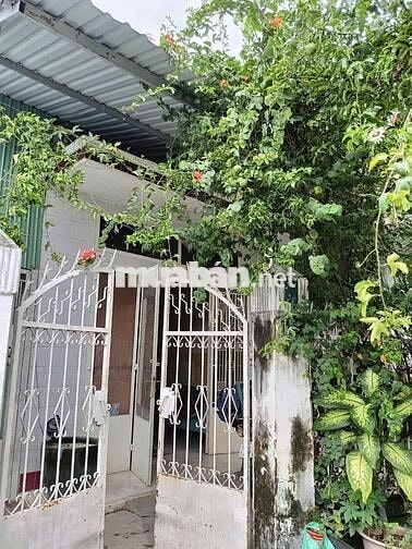 🏠🚨 NHÀ NGUYÊN CĂN CÓ SÂN RIÊNG THỦ DẦU MỘT – 4.5TR/THÁNG