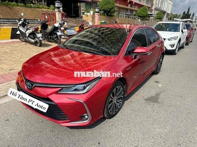 Toyota Corolla Altis Hybrid Đỏ