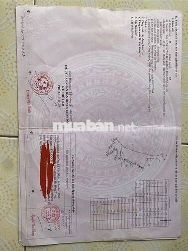 CHÍNH CHỦ BÁN ĐẤT TRỒNG CÂY LÂU NĂM – BUÔN ĐÔN, ĐẮK LẮK