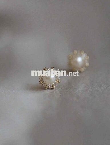 Cho thuê 2 SẠP CHỢ THIẾC - vị trí đắc địa kinh doanh vàng bạc