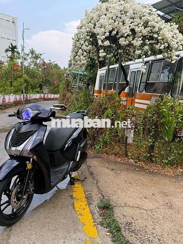 Honda SH 150 2016 Đen 37256 km