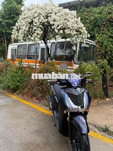 Honda SH 150 2016 Đen 37256 km