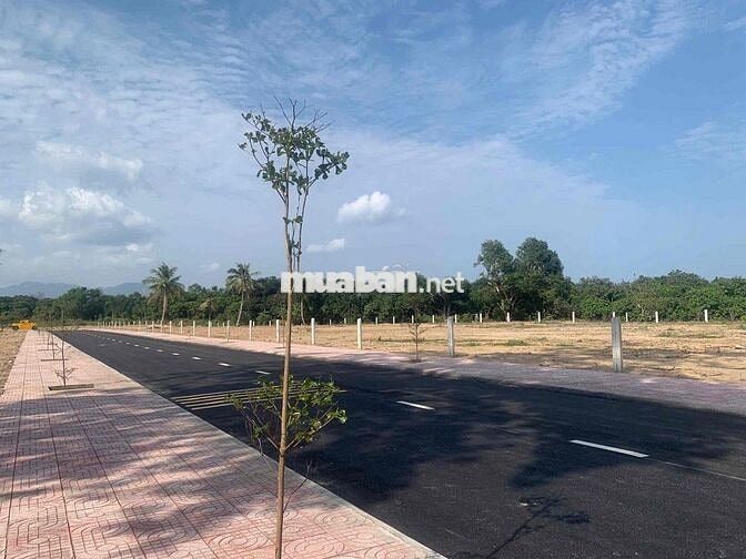 Chỉ với hơn 1 tỷ đồng đã sở hữu ngay mảnh đất tại trung tâm Cam Lâm