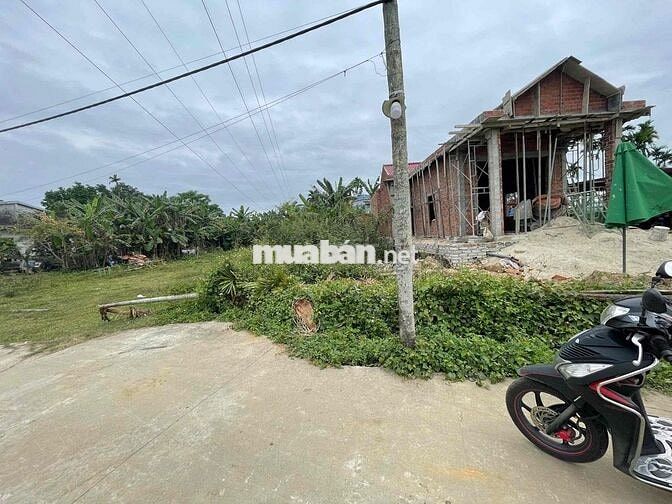 Cần bán diện tích lơn tại giáng đông hoà châu(430m) chia 3 lô