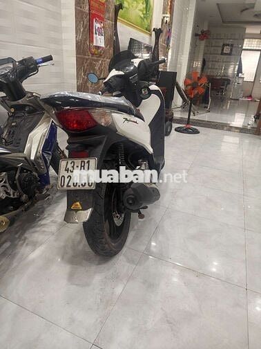 Honda sh 125 màu trắng úp ý