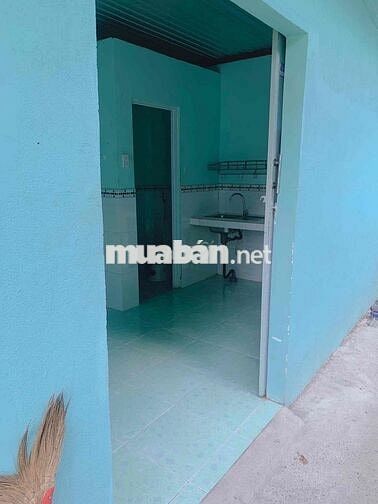 BÁN DÃY TRỌ 12 PHÒNG – DÒNG TIỀN ỔN ĐỊNH – NGAY NGUYỄN VĂN BỨA, HÓC MÔ