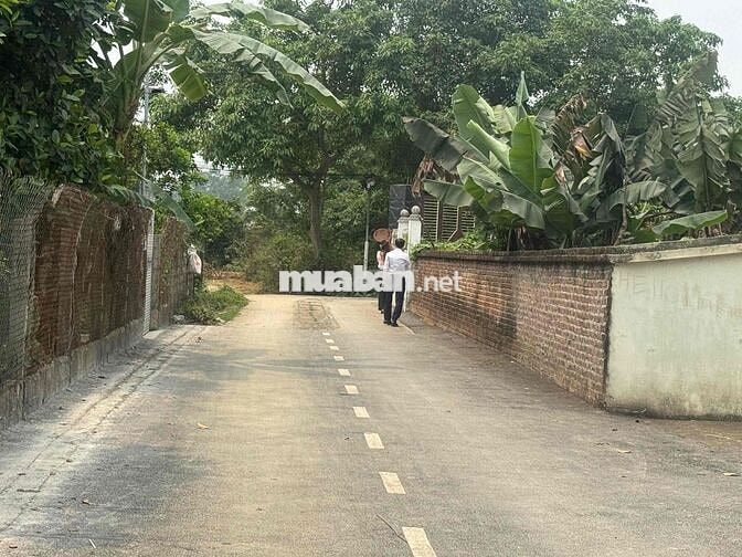 Bán 62m2 ONT 1.65 tỷ Kim Sơn, (Sơn Tây cũ), Hà Nội