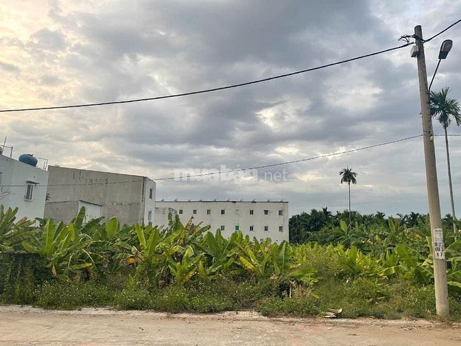 Bán đất 1570m thổ cư  hẻm xe hơi đường Thạnh Xuân 52 chính chủ