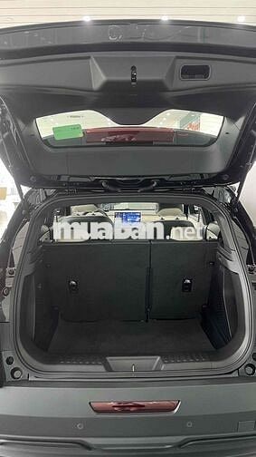 Xe điện VinFast VF6 Plus - Đưa trước 60tr