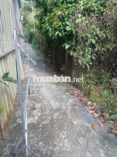 BÁN LÔ ĐẤT VƯON AN SƠN 01 174M2 NGANG 10M DÀI 17,4M2 CÓ 50M2 THỔ CƯ