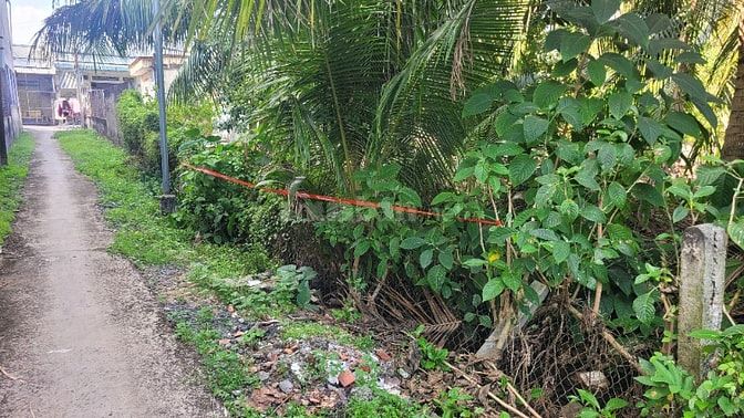 Đất ở. Mua là cất nhà được ngay (1/7/2026 không cần xin GPXD) Đã ra sổ