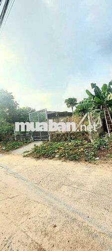 HẠ 1 TỶ , Bán lô đất full thổ đường xe tải ngay trung tâm Đông Thạnh