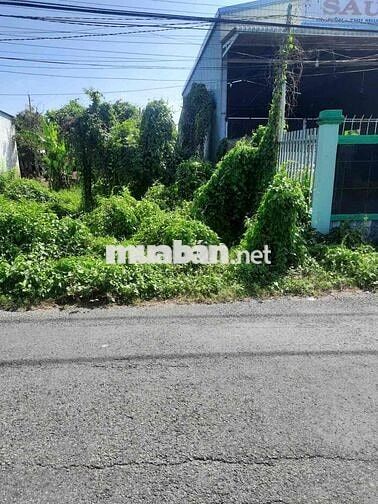 📍 BÁN ĐẤT MẶT TIỀN TÂN PHONG – TIỀN GIANG