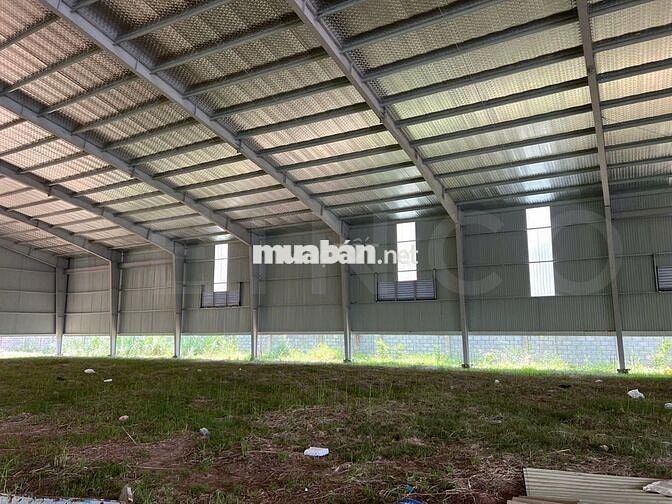 Kho xưởng 1.800 m² có PCCC tự động và điện 3 pha, lộ Container