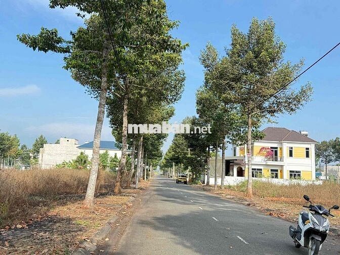TRỤC CHÍNH LAN ANH 2, giáp Biệt Thự màu vàng