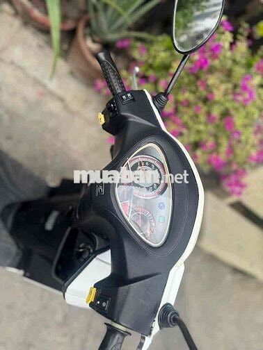 Kymco Candy Hi 50 Trắng Đã sử dụng