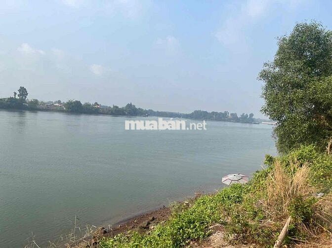 HOT, GIÁ RẺ Bạch Đằng, Tân Uyên, TP.HCM