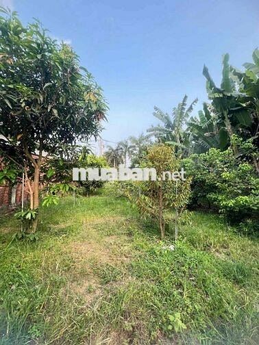 HOT, GIÁ RẺ Bạch Đằng, Tân Uyên, TP.HCM