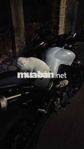 Yamaha MT-03 Trắng Đen