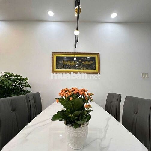 AP Cho thuê nhà CT7A Vĩnh Điềm Trung