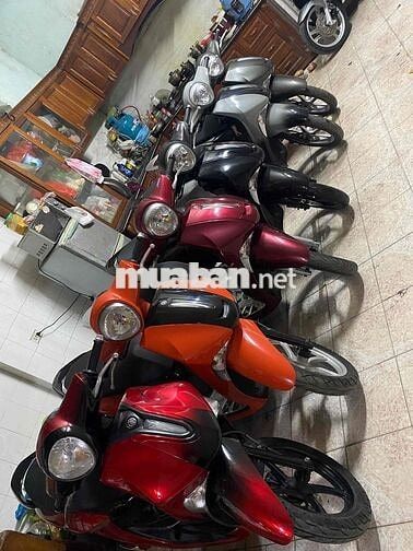 mình có nhiều xe junus