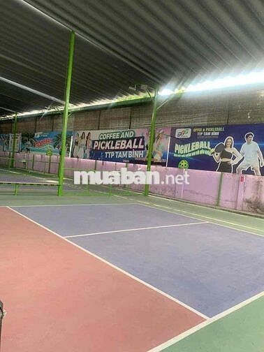 Cho Thuê Mặt Bằng Kinh Doanh + 4 sân Pickleball