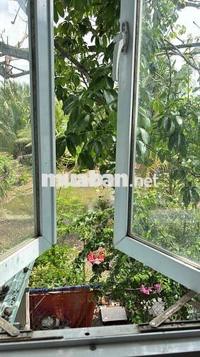 BÁN NHÀ NHỎ XINH CÓ SÂN VƯỜN KẾ BÊN