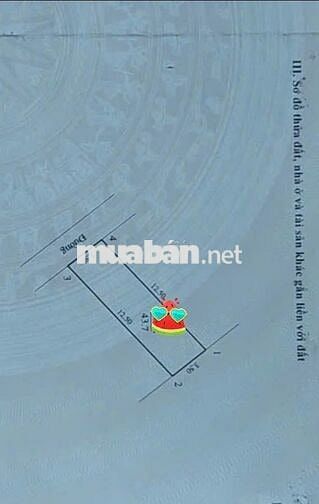 ❤️🔥Bán Nhà Cấp 4: 44m2 TT Quang Minh - 🚘 Vios đỗ cửa – Tiện ích đầy đủ