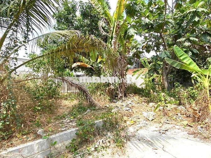Lô Đất 15x20m2 có 40m2 thổ Gần Tỉnh Lộ 7 Xã Trung Lập Hạ Củ Chi