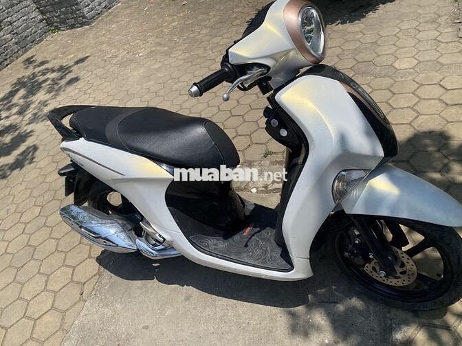 Mình chính chủ bán Janus Bản cao cấp Trắng 2024
