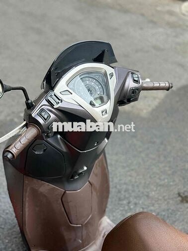 Honda Lead 2020 Nâu 30000 km