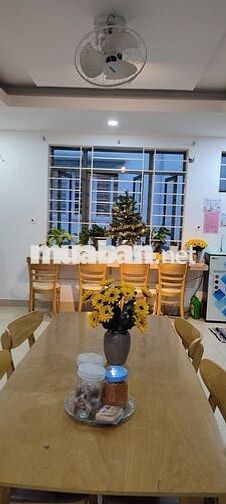Cho thuê phòng trọ ở ghép, homestay, sleepbox, ký túc xá Quận 8