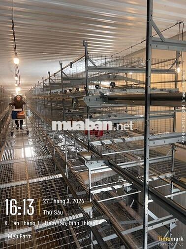Tuyển dụng công nhân lắp đặt thiết bị chăn nuôi