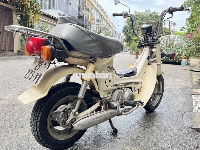 Honda Chaly Đèn vuông Trắng kem