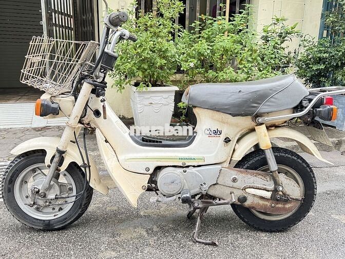 Honda Chaly Đèn vuông Trắng kem