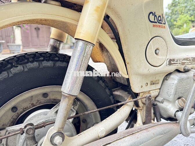 Honda Chaly Đèn vuông Trắng kem