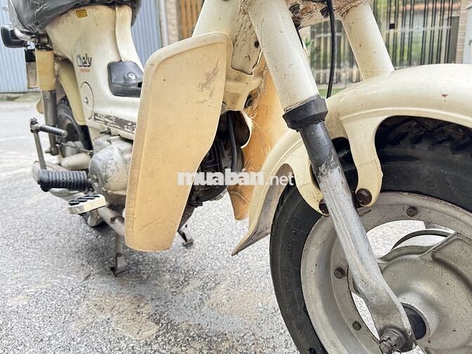 Honda Chaly Đèn vuông Trắng kem