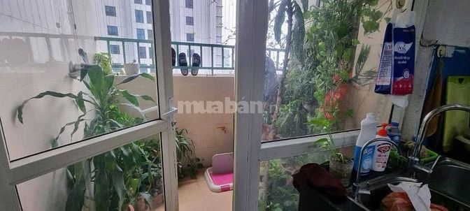 Chính chủ vào Sài Gòn ở cần bán gấp trong tháng 5/2026 CH 95,5m 3PN