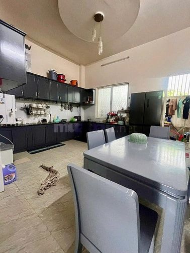 Chủ ngộp, thanh lý 790tr nhà mặt tiền. Cho thuê 25tr/th. Chợ Phú Lạc 