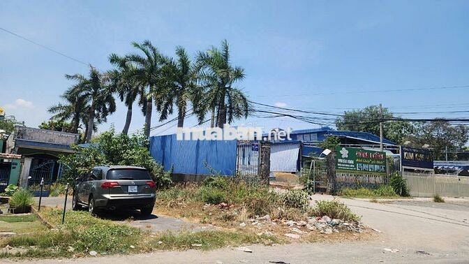 Trịnh Quang Nghị, xã Phong Phú, H. Bình Chánh, diện tích 333,9m2, 13.X