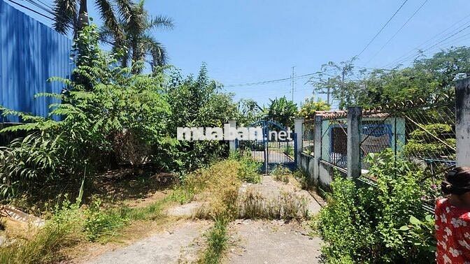 Trịnh Quang Nghị, xã Phong Phú, H. Bình Chánh, diện tích 333,9m2, 13.X