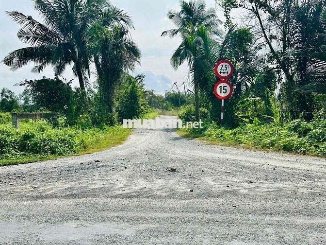 đất thổ vườn xây nhà vườn quá đẹp mặt kênh mát mẻ
