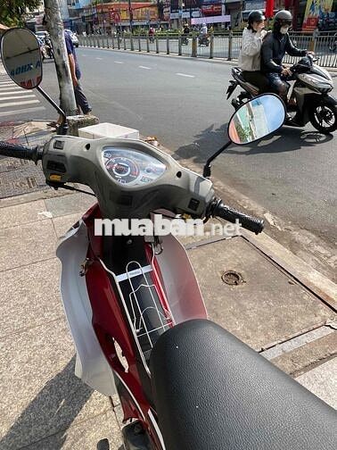 ELEGANT 50cc, thành phố, dùng cho học sinh