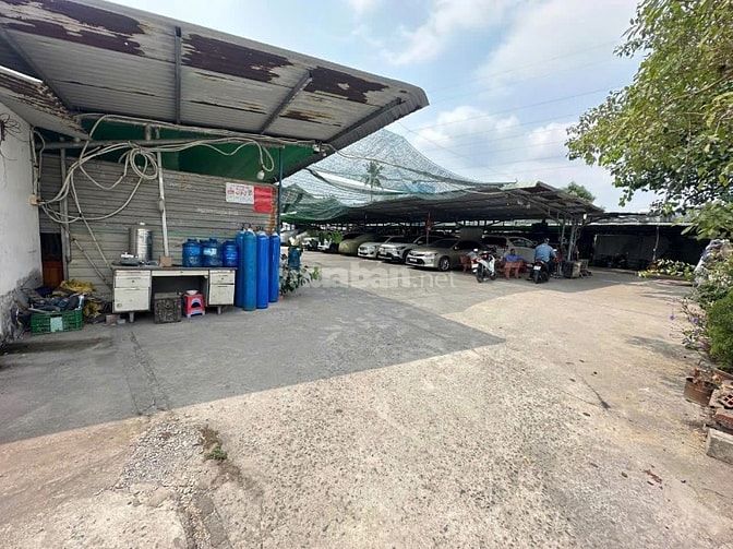 Đất đường 11, Trường Thọ, thu nhập 100tr/tháng
