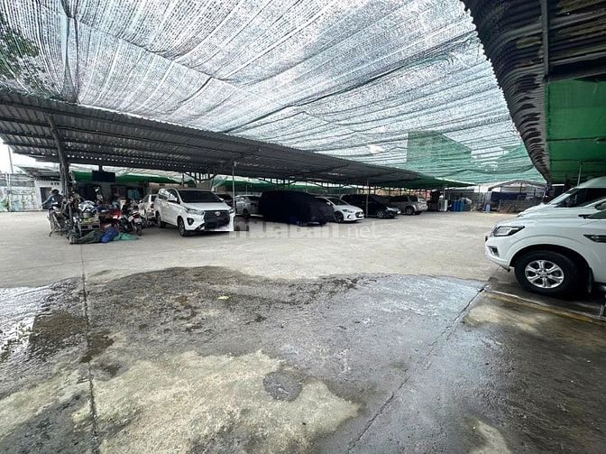 Đất đường 11, Trường Thọ, thu nhập 100tr/tháng
